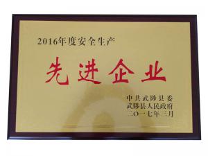資質(zhì)榮譽(yù)
