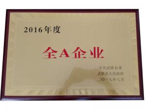 資質(zhì)榮譽(yù)